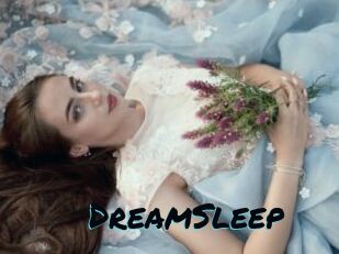 DreamSleep