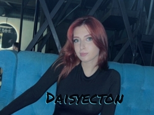 Daisyecton