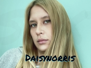 Daisynorris