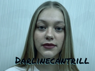 Darlinecantrill