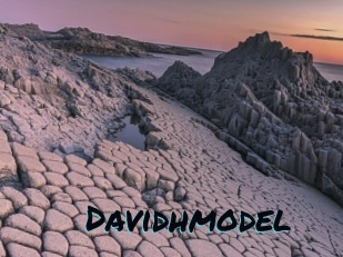 Davidhmodel