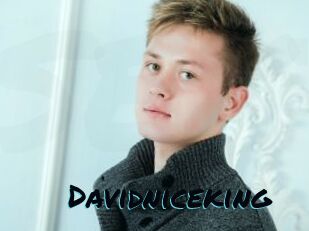 Davidniceking