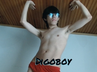 Digoboy