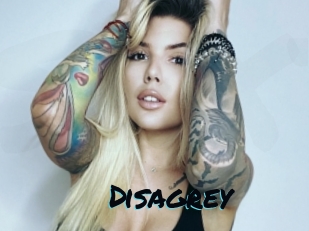 Disagrey