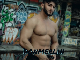 Donmerlin