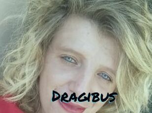 Dragibus