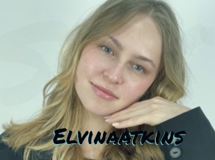 Elvinaatkins