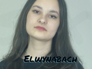 Elwynabach