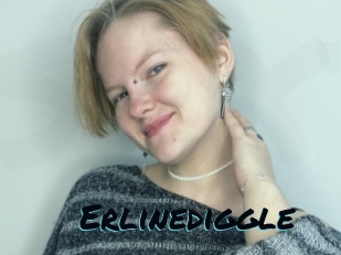 Erlinediggle