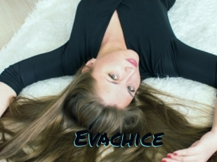 Evachice