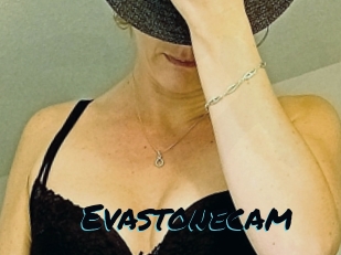 Evastonecam