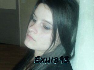 Exhib93