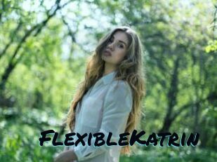 FlexibleKatrin