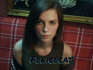 Felicecat