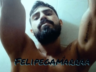 Felipegamarraa