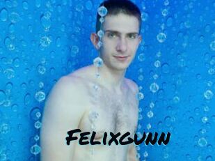 Felixgunn