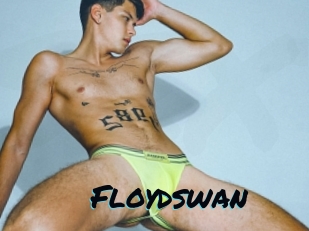 Floydswan