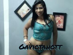Gaviotahott
