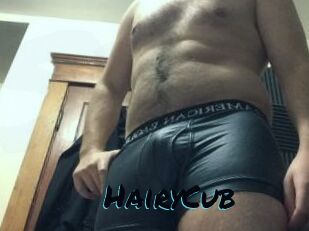 HairyCub