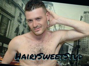 HairySweetStud