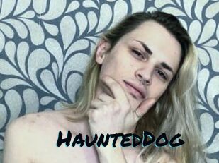 HauntedDog