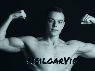 HeilgarVip