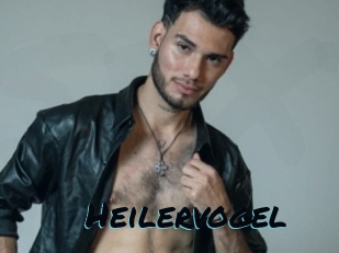Heilervogel
