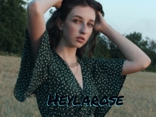 Heylarose