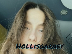 Hollisgarney