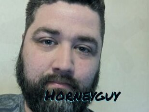 Horneyguy