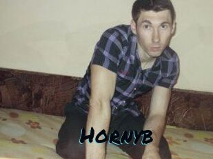 Hornyb