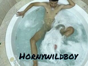 Hornywildboy