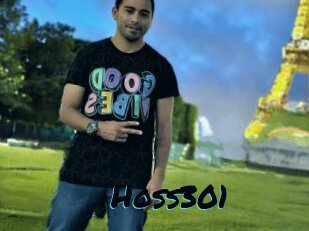 Hoss301