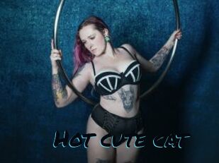 Hot_cute_cat