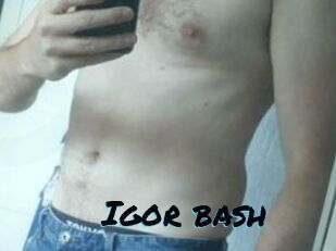 Igor_bash