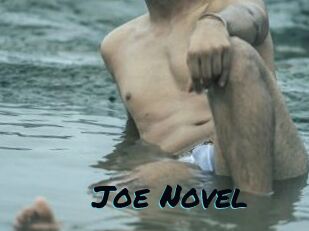 Joe_Novel
