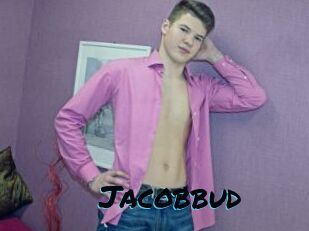 Jacobbud