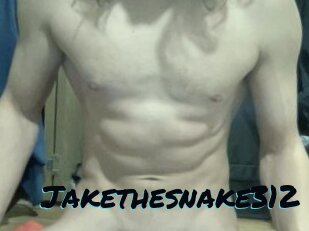 Jakethesnake312