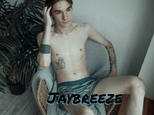 Jaybreeze