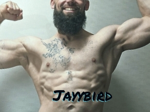 Jayybird