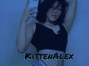 KittenAlex