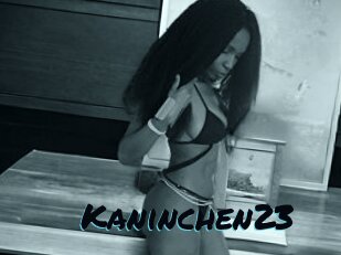 Kaninchen23