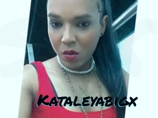 Kataleyabigx