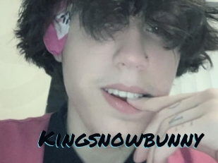 Kingsnowbunny