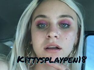 Kittysplaypen18