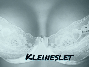 Kleineslet