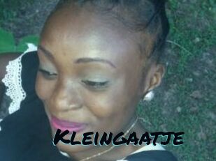 Kleingaatje