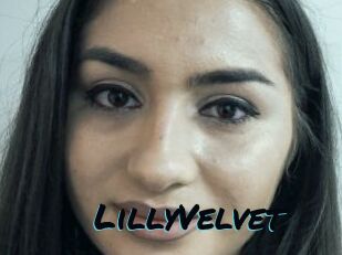 LillyVelvet