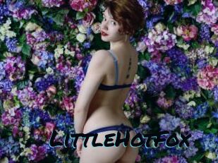 LittleHotFox