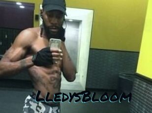 Lledys_Bloom